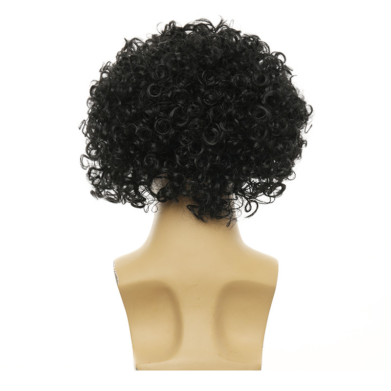 Wig Afro Keriting Besar Unisex - Men'S Accessories In The 80S ulasan dan harga